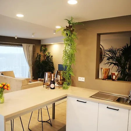 Appartement L'appart Baobab, Avec Sauna *