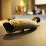 L'appart Baobab, Avec Sauna Liegi