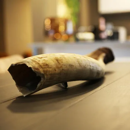 L'appart Baobab, Avec Sauna 列日