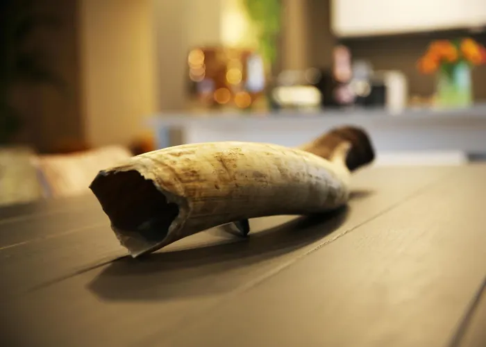 L'appart Baobab, Avec Sauna Liegi